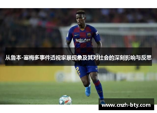 从鲁本-塞梅多事件透视家暴现象及其对社会的深刻影响与反思