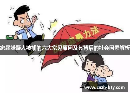 家暴嫌疑人被捕的六大常见原因及其背后的社会因素解析