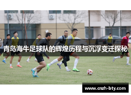 青岛海牛足球队的辉煌历程与沉浮变迁探秘